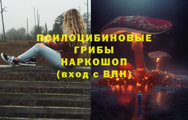 СК Балахна
