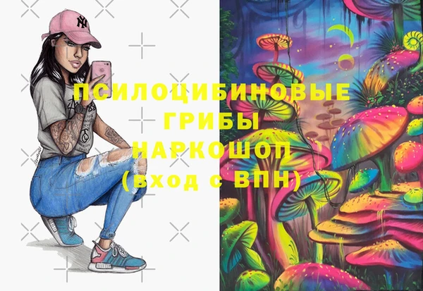 СК Балахна